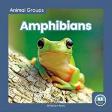 Animal Groups Amphibians