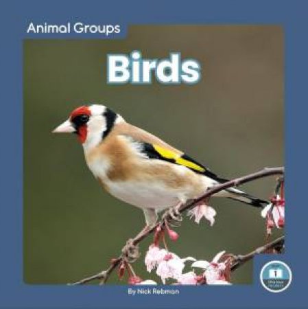 Animal Groups: Birds by NICK REBMAN