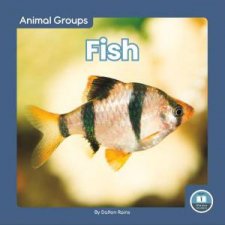 Animal Groups Fish