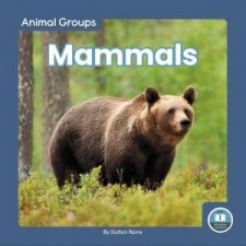 Animal Groups Mammals
