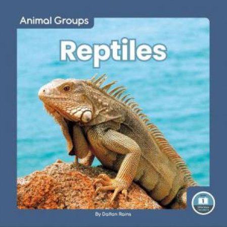 Animal Groups: Reptiles by DALTON RAINS