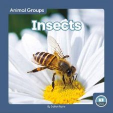 Animal Groups Insects