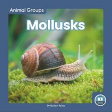 Animal Groups Mollusks