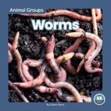 Animal Groups Worms