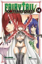 Fairy Tail 100 Years Quest 14