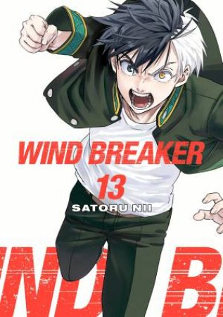 WIND BREAKER 13 by Satoru Nii