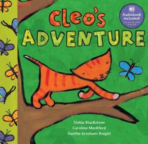 Cleo's Adventure by Stella Blackstone