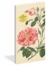 John Derian Paper Goods Everything Roses Notepad