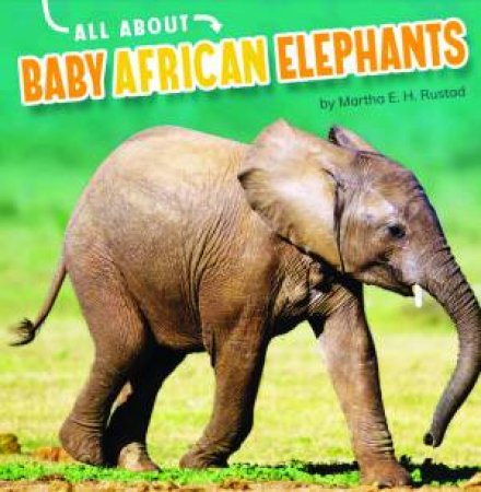 All About: Baby African Elephants by Martha E H Rustad