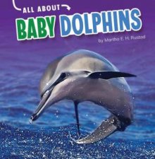 All About Baby Animals Dolphins