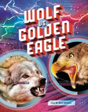 Predator vs Predator Wolf vs Golden Eagle
