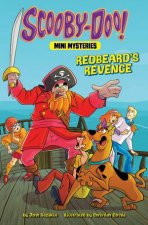 ScoobyDoo Mini Mysteries Redbeards Revenge
