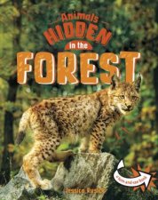 Animals Undercover Hidden in the Forest