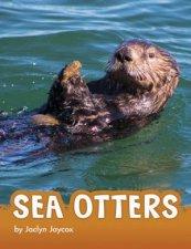 Animals Sea Otters