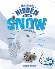 Animals Undercover Hidden in the Snow