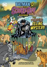 Batman and ScoobyDoo Mysteries The Frenzied Feline Mystery
