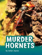 Animals Murder Hornets