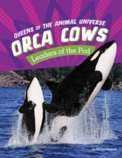 Queens of the Animal Universe Orca Cows  Leaders of the Pod