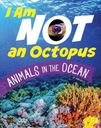 What Animal Am I: I Am Not An Octopus - Animals in the Ocean by Mari Bolte
