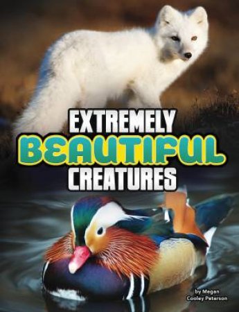 Unreal But Real Animals: Extremely Beautiful Animals