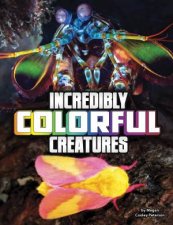Unreal But Real Animals Incredibly Colourful Creatures