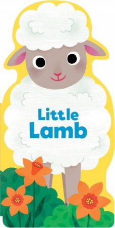Little Lamb by Maggie Fischer & Yi-Hsuan Wu