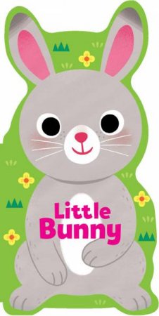 Little Bunny by Maggie Fischer & Yi-Hsuan Wu