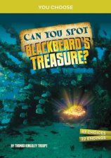 You Choose  Treasure Hunters Can You Spot Blackbeards Treasure