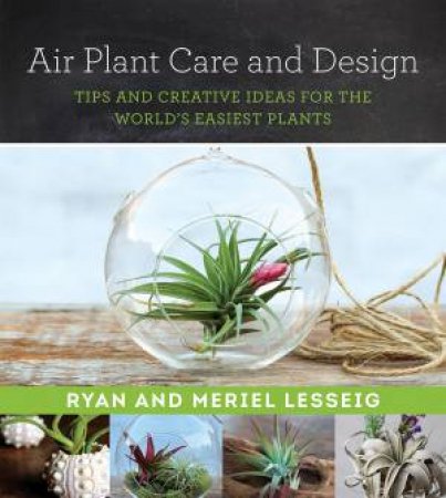 Air Plant Care And Design: Tips And Creative Ideas For The World's Easiest Plants