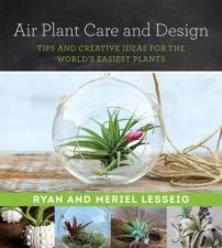 Air Plant Care And Design Tips And Creative Ideas For The Worlds Easiest Plants