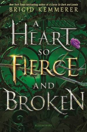 A Heart So Fierce And Broken by Brigid Kemmerer