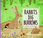 Rabbits Dig Burrows