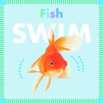 Fish Swim