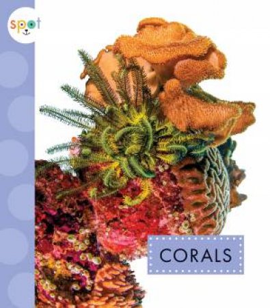 Corals by Mari C Schuh