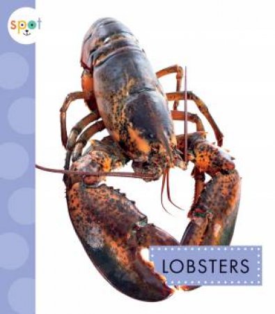 Lobsters by Mari C Schuh