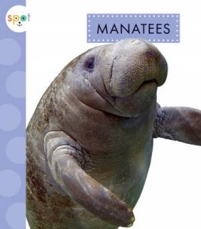 Manatees by Mari Schuh