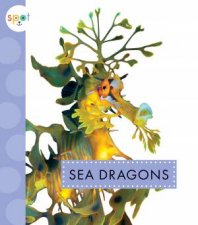 Sea Dragons