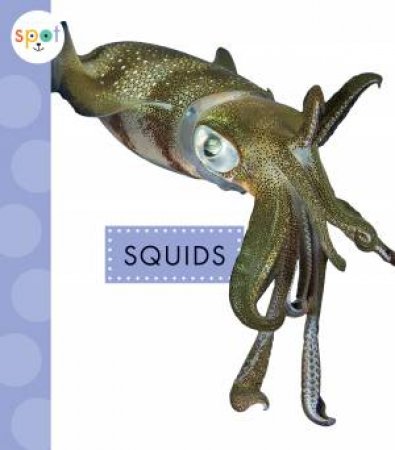 Squids by Mari Schuh
