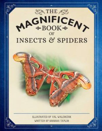 The Magnificent Book Of Insects And Spiders by Weldon Owen