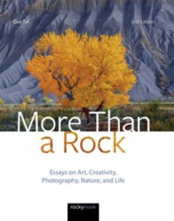 More Than A Rock by Guy Tal