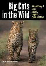 Big Cats In The Wild A Visual Essay Of Lions Jaguars Leopards Pumas And More