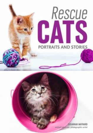 Rescue Cats: Portraits And Stories by Susannah Maynard