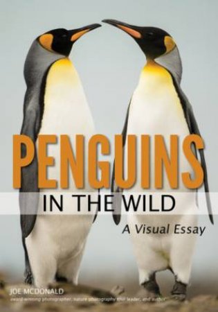 Penguins In The Wild by Joe McDonald
