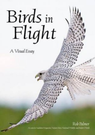 Birds In Flight: A Visual Essay by Rob Palmer