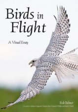 Birds In Flight A Visual Essay