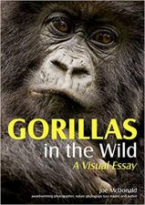 Gorillas In The Wild A Visual Essay