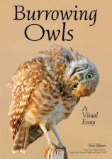 Burrowing Owls A Visual Essay
