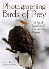 Photographing Birds Of Prey