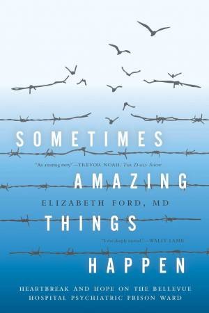 Sometimes Amazing Things Happen: Heartbreak And Hope On The Bellevue Hospital Psychiatric Prison Ward by Elizabeth Ford