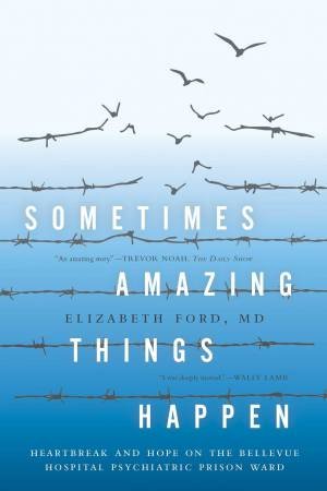 Sometimes Amazing Things Happen: Heartbreak And Hope On The Bellevue Hospital Psychiatric Prison Ward by Elizabeth Ford